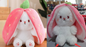 Cute Transforming Strawberry Rabbit Doll