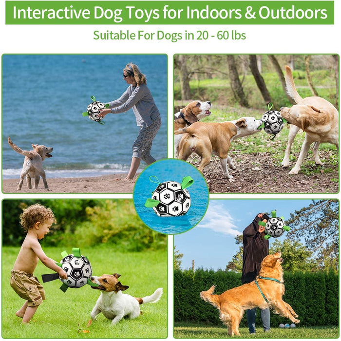 Interactive Pet Football Toy