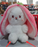 Cute Transforming Strawberry Rabbit Doll