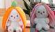 Cute Transforming Strawberry Rabbit Doll