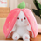 Cute Transforming Strawberry Rabbit Doll